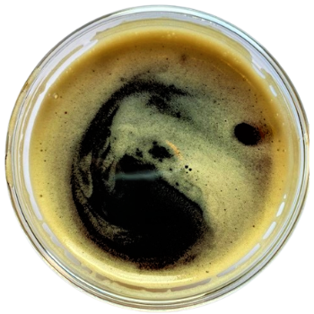 https://stgbeer.com/wp-content/uploads/2022/08/oyster-stout-top-shot.png